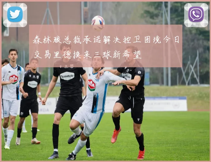 森林狼总裁承诺解决控卫困境今日交易里德换来三球新希望